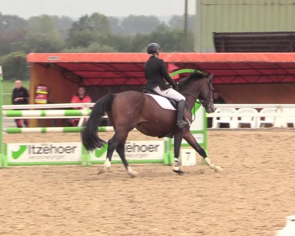 Reitturnier Behrendorf 2020