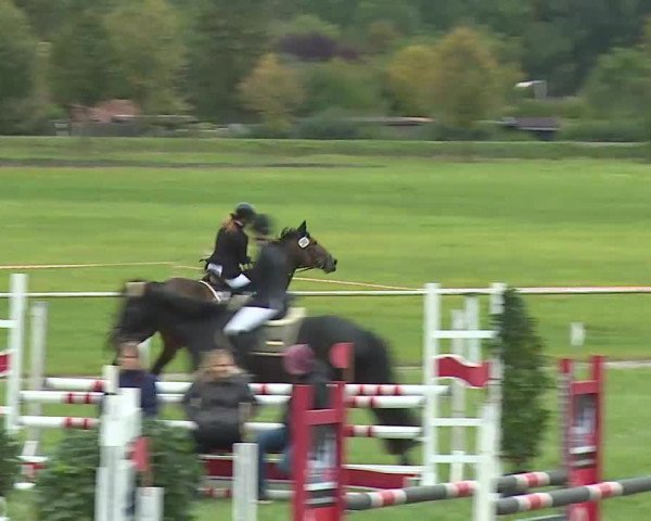 Reitturnier Bad Windsheim/Mfr. 2020