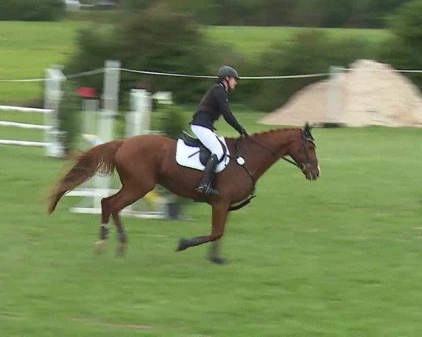 Reitturnier Bad Windsheim/Mfr. 2020