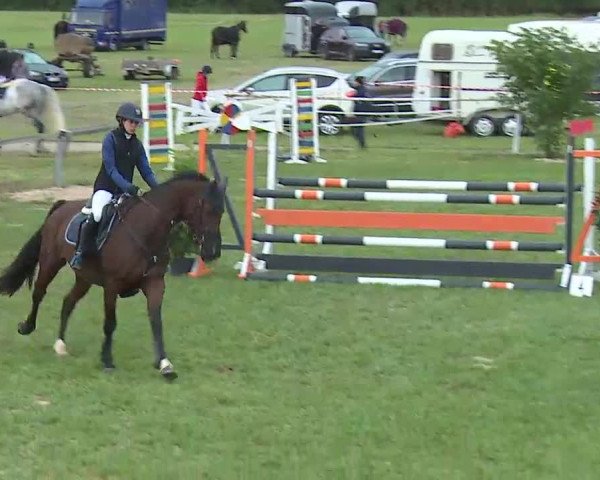 Reitturnier Bad Windsheim/Mfr. 2020