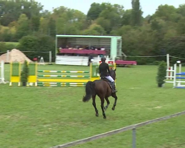 Reitturnier Bad Windsheim/Mfr. 2020