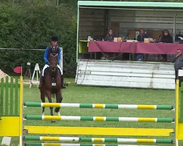 Reitturnier Bad Windsheim/Mfr. 2020