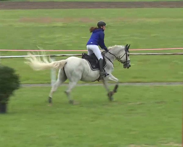 Reitturnier Bad Windsheim/Mfr. 2020