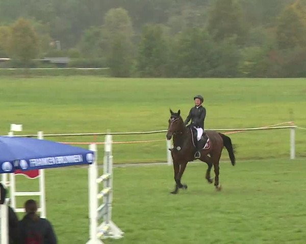 Reitturnier Bad Windsheim/Mfr. 2020