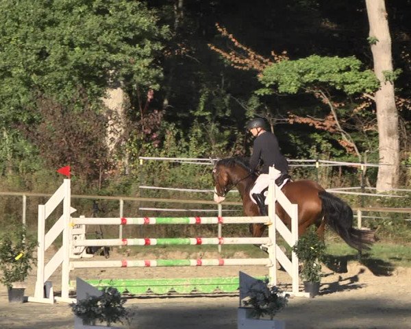 Reitturnier Herxheim 2020