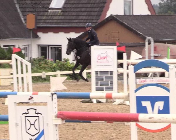 Reitturnier Behrendorf 2020