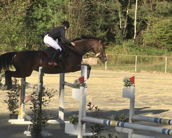 Reitturnier Herxheim 2020