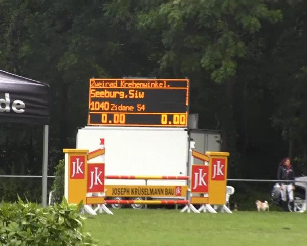 jumper Zidane 54 (KWPN (Royal Dutch Sporthorse), 2004, from Sharif)