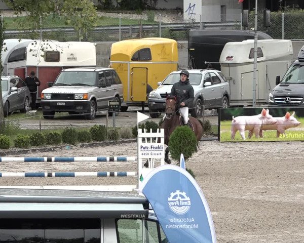 Reitturnier Basel Schänzli 2020