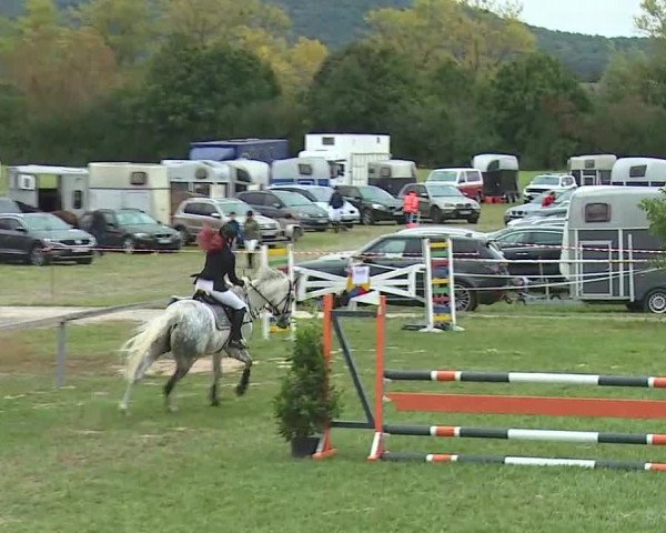 Reitturnier Bad Windsheim/Mfr. 2020