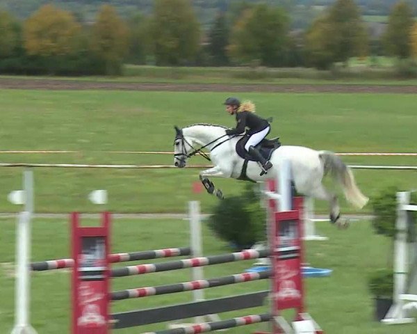 Reitturnier Bad Windsheim/Mfr. 2020
