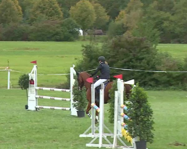 Reitturnier Bad Windsheim/Mfr. 2020