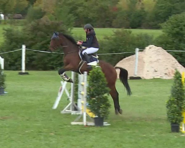 Reitturnier Bad Windsheim/Mfr. 2020
