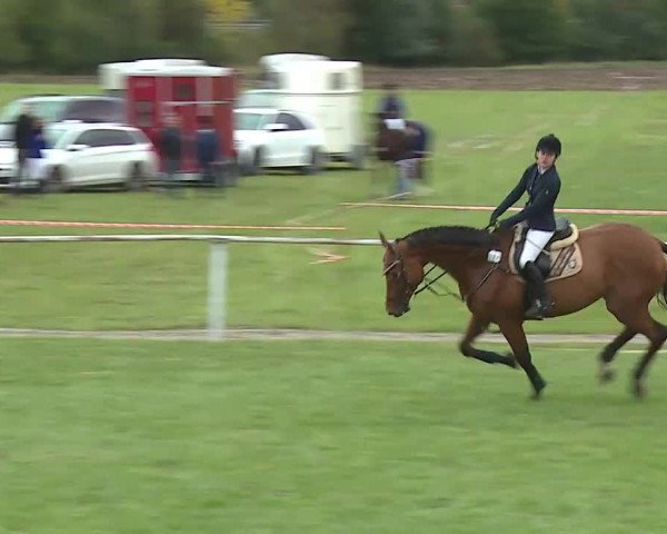 Reitturnier Bad Windsheim/Mfr. 2020