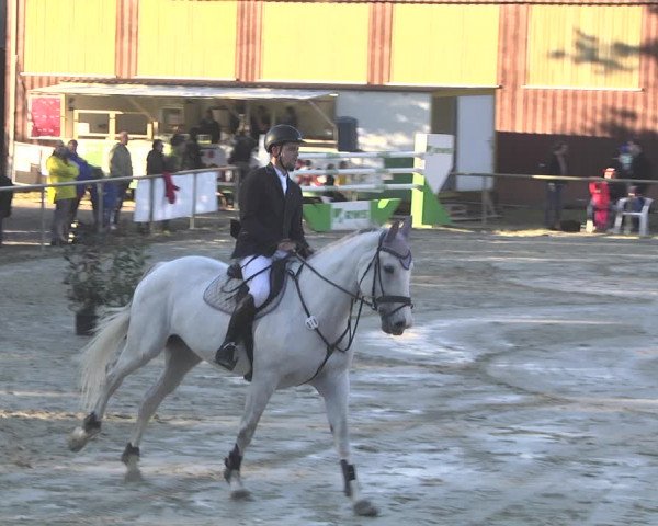 Reitturnier Herxheim 2020