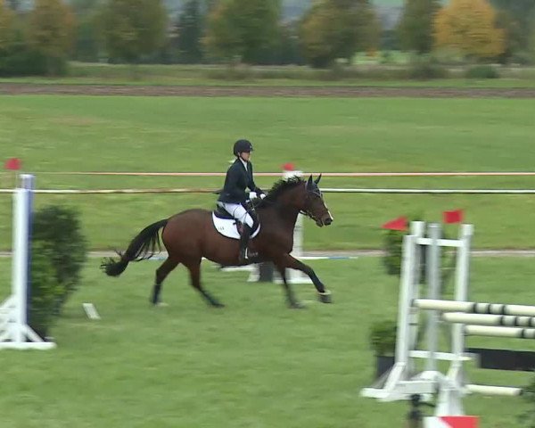 Reitturnier Bad Windsheim/Mfr. 2020