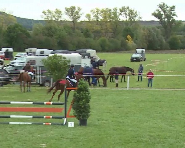 Reitturnier Bad Windsheim/Mfr. 2020