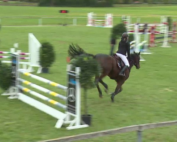Reitturnier Bad Windsheim/Mfr. 2020