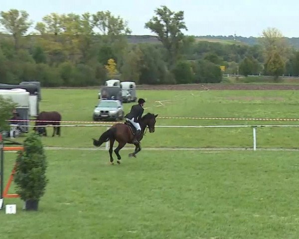 Reitturnier Bad Windsheim/Mfr. 2020
