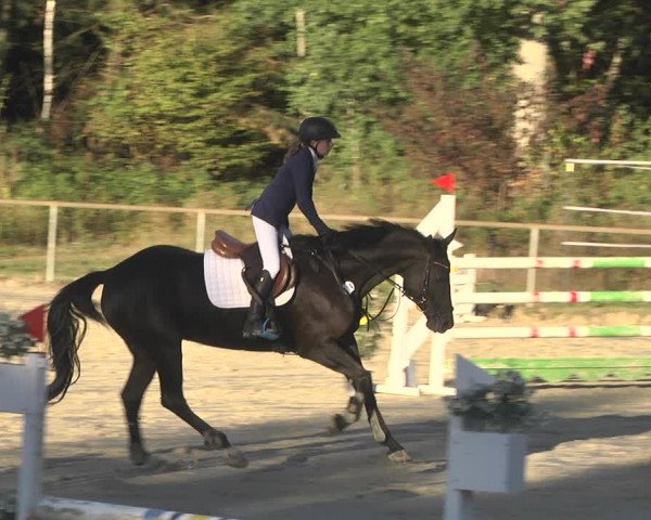 Reitturnier Herxheim 2020