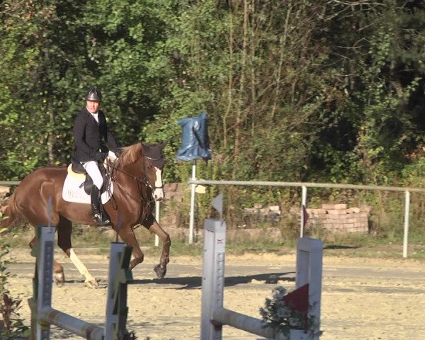 Reitturnier Herxheim 2020