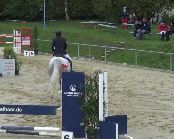 Reitturnier Ladenburg 2020