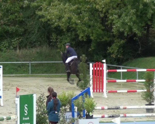 Reitturnier Ladenburg 2020