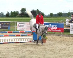 jumper Strolch S (Württemberger, 2008, from Stakkatol)