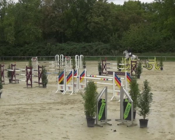 Reitturnier Ladenburg 2020