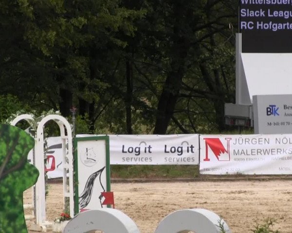 Springpferd Slack League (Quarter Horse, 2003, von Lope Lika Leaguer)