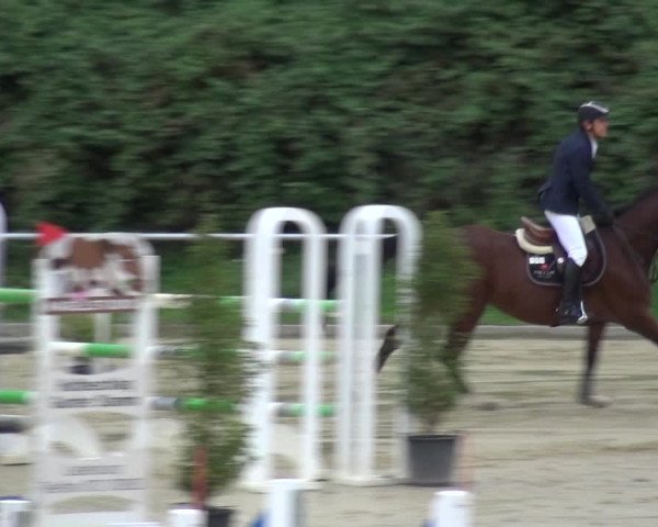 Reitturnier Ladenburg 2020