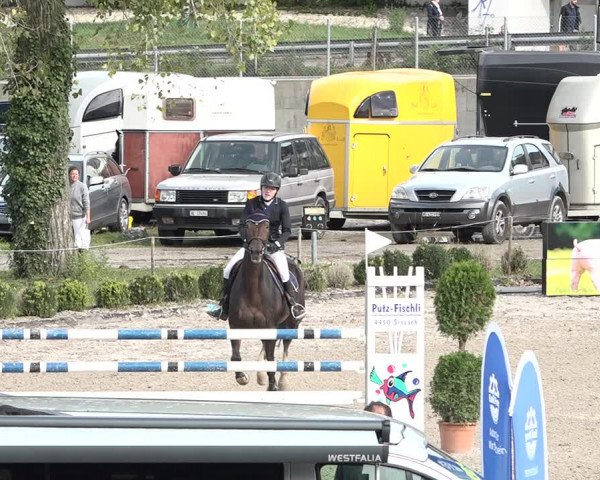 Reitturnier Basel Schänzli 2020