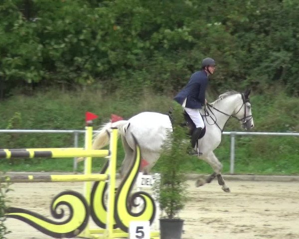Reitturnier Ladenburg 2020