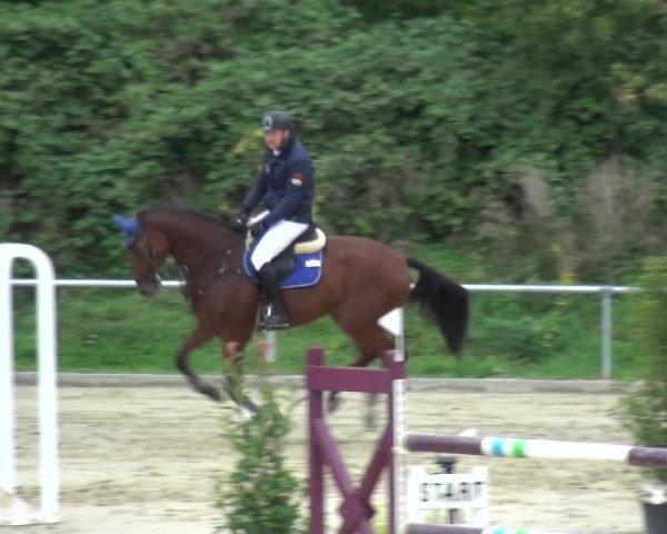 Reitturnier Ladenburg 2020