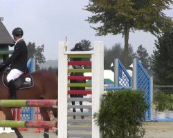jumper Lusiana 20 (Oldenburg, 2008)
