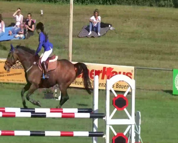 jumper Unlimited (KWPN (Royal Dutch Sporthorse), 2001, from No Limit)