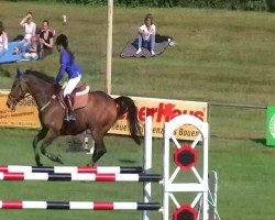 Springpferd Unlimited 26 (KWPN (Niederländisches Warmblut), 2001)