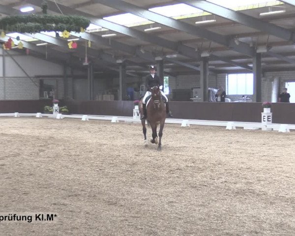 Reitturnier Kirchhellen-RSV Zur Linde 2020