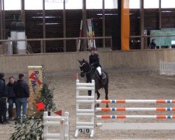 jumper Cabu Dhabi (Oldenburg, 2006, from Converter I)
