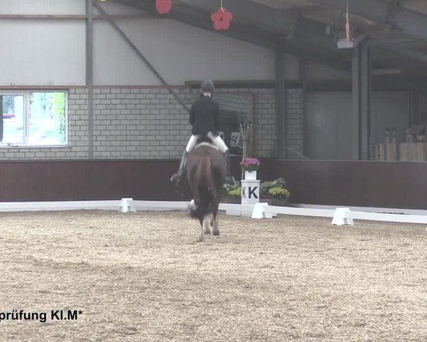 Reitturnier Kirchhellen-RSV Zur Linde 2020