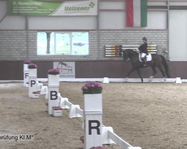 Reitturnier Kirchhellen-RSV Zur Linde 2020
