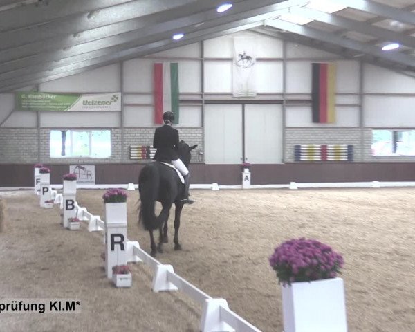 Reitturnier Kirchhellen-RSV Zur Linde 2020