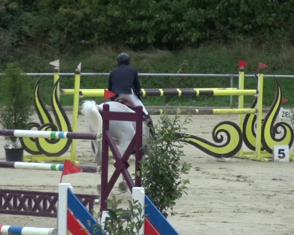 Reitturnier Ladenburg 2020