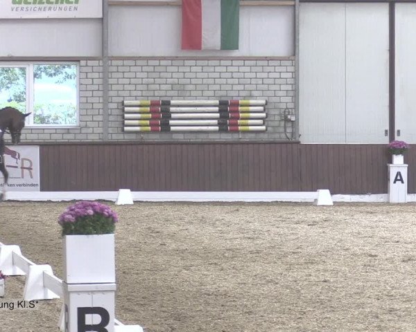 Reitturnier Kirchhellen-RSV Zur Linde 2020
