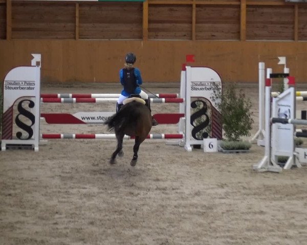 Reitturnier Xanten - Reitanlage Miss 2020