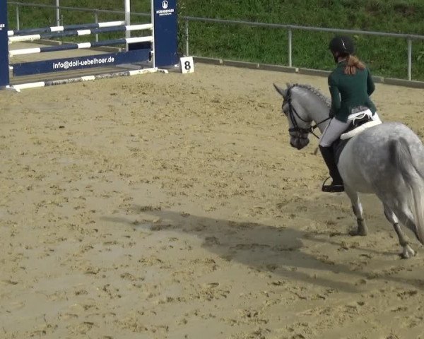 Reitturnier Ladenburg 2020