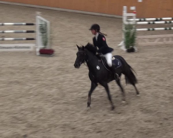 Reitturnier Xanten - Reitanlage Miss 2020