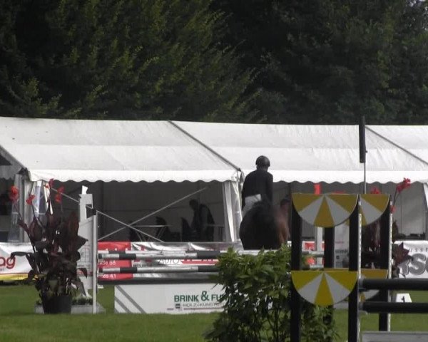 jumper Carmelo (Holsteiner, 2009, from Cachas)