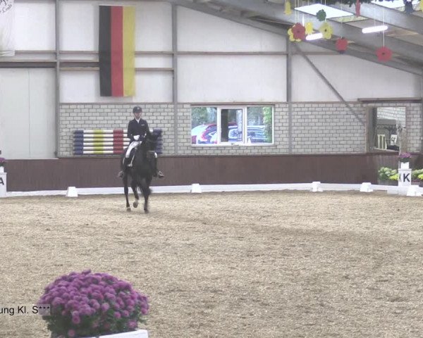 Reitturnier Kirchhellen-RSV Zur Linde 2020