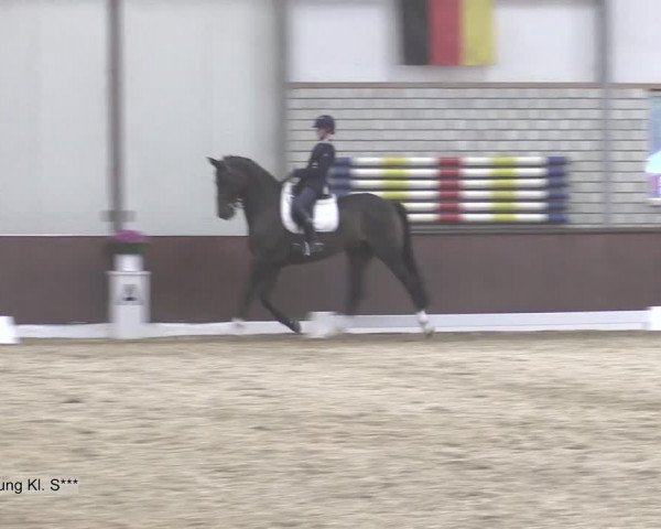 Reitturnier Kirchhellen-RSV Zur Linde 2020